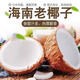 采緹海南老椰子牛奶椰寶毛椰子老椰皇肉厚煲雞湯榨汁當季水果 2個 500g以內(nèi)