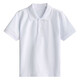 中小學(xué)生校服內搭短袖T恤夏季休閑高中生白色上衣polo衫高中班服 白色凈版 均碼 165