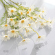 ins風(fēng)仿真花手捧小雛菊5頭荷蘭菊寫真攝影道具假花家居婚禮裝飾花 雛菊*白色 1支5朵花