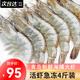 鮮漁翁 青島海捕大蝦4斤裝鮮凍青蝦凈重2kg蝦類(lèi)國產(chǎn)生鮮海鮮水產(chǎn) 年貨節 【推薦】15-18cm 3.6- 4斤(凈重)
