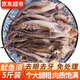 往牧魷魚(yú)須 二本足 鮮活冷凍 燒烤火鍋食材 免處理魷魚(yú)須毛重5斤 3.5斤(凈重) 
