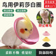 何健弓鸚鵡鳥(niǎo)用伊麗莎白圈防啃咬打架羽毛受傷保護項圈啄毛鼠用咬毛脖套 粉色XS【小太陽(yáng)玄風(fēng)虎皮牡丹】