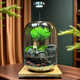 苔蘚微景觀生態(tài)瓶趣味造景綠植創(chuàng)意盆栽盆景魚缸好養(yǎng)活桌面臥室 小貓釣魚（煙灰色）+木質(zhì)底座燈 16*16*22（圓）/15*15*20（超白缸）