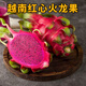 龍玪越南紅心火龍果水果禮盒裝當(dāng)季新鮮紅肉火龍果大果孕婦純甜水果 6顆匠心禮盒裝精選大果