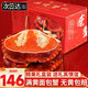 滿(mǎn)黃面包蟹超大熟凍黃金蟹珍寶蟹禮品黃油蟹蟹類(lèi)海鮮禮盒 【禮盒】面包蟹1600-1200g/2只