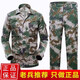 際華三五七六夏季迷彩服套裝男女戶(hù)外加厚耐磨工作服勞保服戰術(shù)教官軍訓服 林地迷彩（上衣+下褲） 170/92-96