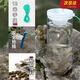 finity抓小魚神器兒童抓魚工具倒須瓶抓魚瓶池塘小溪河流淺水庫(kù)捕魚神器 大號(hào)【高22cm】耐摔抓魚瓶 抓魚瓶2個(gè)+4包餌料+2根12米繩