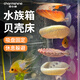 寵小帥魚(yú)缸造景貝殼床斗魚(yú)休息擺件金波子魚(yú)窩躲避屋小魚(yú)繁殖產(chǎn)卵裝飾品 彩貝魚(yú)缸宿舍【1個(gè)裝】