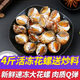 鮨京【JD物流】花螺4斤鮮活速凍香螺冷凍東風(fēng)海螺 海鮮水產(chǎn) 生鮮 貝類 花螺 2kg