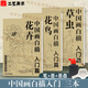 中國(guó)畫(huà)白描入門(mén)篇  國(guó)畫(huà)白描描摹本 白描臨摹本畫(huà)譜底稿工筆畫(huà) 零基礎(chǔ)白描入門(mén) 梅蘭竹菊花鳥(niǎo)虎貓馬犬 花卉植物禽鳥(niǎo)動(dòng)物山水樹(shù)木鳥(niǎo)獸魚(yú)蟲(chóng) 工筆仕女 工筆花卉描摹本 線描畫(huà)臨摹 中國(guó)畫(huà)白描入門(mén)篇全3冊(cè)【花卉