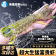 海蘊極鮮【活鮮】鮮活富貴蝦 新鮮泰國進(jìn)口巨型皮皮蝦活蝦燒烤食材 4-5兩/只（帶黃款）大號 單支裝