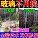 家用窗戶玻璃修復(fù)液裂紋還原劑鏡子裂縫劃痕汽車前擋風(fēng)玻璃無痕sw 兩瓶裝[劃痕修復(fù)]