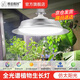 精忠報(bào)國植物補(bǔ)光燈大棚蔬菜花卉led室內(nèi)綠植專用仿太陽全光譜園林生長燈 【仿太陽全光譜補(bǔ)光燈】白-30W 配3米燈頭線