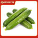 鳶語(yǔ) 山東小黃瓜 水果黃瓜 凈重5斤 單果100g起 新鮮蔬菜 荷蘭小黃瓜 精品水果黃瓜 5斤