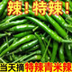 新鮮小米辣椒農(nóng)家自種青辣椒 尖椒 朝天椒 蔬菜泡椒特辣小米椒 鮮 1斤