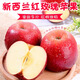 香果顏紅玫瑰蘋(píng)果新鮮水果 送禮精選脆甜蘋(píng)果進(jìn)口生鮮時(shí)令 精選10個(gè)裝單果約130-150g