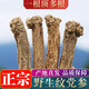 健頤年岷縣野生黨參大條干貨甘肅原產(chǎn)地直發(fā)無(wú)硫特級紋黨參中藥材泡水 15年野生黨參250g【深山采挖】