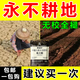 松土精土壤活化劑土質(zhì)疏松免深耕通用型改善土壤板結(jié)調(diào)鹽堿改良劑 【5袋】四季可用  種啥旺啥