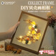 春生秋收德國品質(zhì)干花相框diy手工制作材料貝殼小夜燈干花裝飾燈畫框擺件 月亮款+10寸相框+禮袋賀卡（送貝 10寸