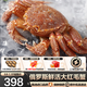 【全網(wǎng)熱銷(xiāo)】俄羅斯進(jìn)口鮮活生凍紅毛蟹海鮮活蟹大螃蟹大毛蟹 【熱銷(xiāo)】鮮活大紅毛蟹0.8- 1.1斤