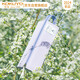 國譽(yù)（KOKUYO）Littlewoods系列C2大容量可平攤式筆袋大號 鳶尾紫 1個(gè) WSG-PCN23LV