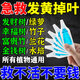 植物再生劑發(fā)財(cái)樹(shù)營(yíng)養(yǎng)液復(fù)活液水培肥料室內(nèi)盆栽植物營(yíng)養(yǎng)液通用型 植物再生劑 6支*1盒