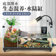 添悅 烏龜飼養(yǎng)缸生態(tài)大型造景別墅混養(yǎng)專用防逃逸水陸兩棲生態(tài)一體缸 40混養(yǎng)缸【水陸雙區(qū)造景套餐】