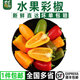 千牛優(yōu)福水果彩椒1-5斤 新鮮迷你甜椒沙拉涼拌蔬菜生吃甜彩椒 水果彩椒500g 500g