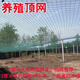 帥米果樹(shù)防鳥(niǎo)罩防鳥(niǎo)用網(wǎng)果園尼龍網(wǎng)葡萄網(wǎng)櫻桃網(wǎng)養(yǎng)殖網(wǎng)養(yǎng)雞網(wǎng)養(yǎng)鴨網(wǎng)- 客戶定制