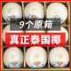 本來(lái)果坊泰國(guó)椰青9粒進(jìn)口新鮮椰青椰子大果孕婦當(dāng)季水果整箱 【精選大果】9粒 單果900克+