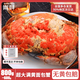 崇鮮 英國面包蟹熟凍800g-600g2只超大螃蟹膏黃金蟹 生凍面包蟹1只