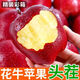 枝遙花牛蘋果水花牛果蘋果當(dāng)季粉面應(yīng)季批發(fā)整箱新鮮蛇果刮泥 精選大果 5斤裝