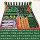 糜嵐 MIELANAT玩具士兵小人軍事模型套裝:飛機(jī)模型坦克模型塑料兵人男孩禮物 5厘米170件套裝大地圖收納袋