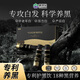 康恩貝專利PQQ白頭發(fā)變轉(zhuǎn)治黑根正品白發(fā)黑發(fā)微生物素h葉酸植萃飲*2盒