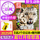 【7.8月現(xiàn)貨】小哥白尼野生動物雜志2025年1-8月新【全年/半年訂閱/2024年可選】6-15歲中小學(xué)生青少年科普科普百科期刊 半年訂閱【送2個本+隨刊贈】25年7-12月