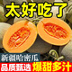 正宗新疆哈密瓜10斤新鮮水果當季冰淇淋蜜瓜脆甜蜜香瓜哈密瓜包郵 3斤【活動價】1-2個