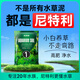 尼特利 NETLEA水草泥魚缸凈水營養(yǎng)土水族養(yǎng)魚水藻泥免水洗種植土草缸陶粒底砂 1號(hào)大師水草泥 - 2L /袋