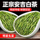 醉茗山2025正宗安吉白茶送禮茶葉高山明前綠茶特級(jí)白茶袋裝新茶自己喝 【明前特級(jí)】安吉白茶袋裝250g