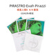 PIRASTRO【德國原裝正品】 Evah pirazzi綠美人小提琴尼龍弦金E/銀E套弦 4/4 普通套弦