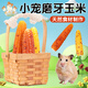 冠之亞倉鼠磨牙玉米棒金絲熊鼠糧營(yíng)養糧食高營(yíng)養零食主糧小寵用品 磨牙玉米9個(gè)裝