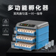 維謙（WEIQIAN）孵化器孵蛋器家用小型全自動(dòng)蘆丁雞孵蛋機(jī)雞鴨鵝孵化箱智能孵化機(jī) 【彩屏顯示】30枚抽拉式雙電