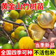 【帶營養(yǎng)杯發(fā)貨】黃金山竹樹苗泰國無籽山竹嫁接果樹果苗庭院盆栽 2年 黃金山竹 嫁接苗