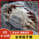 可清蒸3斤全母鮮活速凍梭子蟹連云港冷凍海螃蟹大海蟹母蟹蘭花蟹 3斤單凍母(8-10只左右）