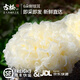 古松 新鮮銀耳6朵 獨立盒裝順豐快遞產地直發新鮮菌菇雪耳白木耳 鮮銀耳6朵100g*6盒