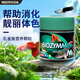 百因美（BIOZYM）小型魚(yú)飼料燈科魚(yú)孔雀魚(yú)金魚(yú)飼料熱帶魚(yú)魚(yú)食斗魚(yú)神仙魚(yú)觀(guān)賞魚(yú)魚(yú)糧 孔雀魚(yú)營(yíng)養顆粒65g