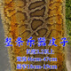 天鵝（SWAN）整條二胡老金花蟒皮錫胡高胡三弦蒙皮熱瓦普蛇皮加厚成條四胡換皮 整條3.2米寬度46-47