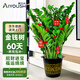愛(ài)優(yōu)尚金錢(qián)樹(shù)盆栽客廳室內大型綠植辦公室盆景搖錢(qián)串子喬遷開(kāi)業(yè)源頭直發(fā)
