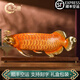 禮之源全銅招財(cái)金龍魚(yú)工藝品擺件家居辦公室酒柜裝飾擺設(shè)品店鋪開(kāi)業(yè)禮品 中號(hào)大漆金龍魚(yú)（金黃漆彩）