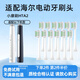 美天萊適配Haier海爾電動(dòng)牙刷頭小摩刷HTA2-HYB/HT21/SHF/JYL替換頭 清潔型12支