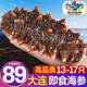 三只海豚 即食海參 大連鮮食刺參單個裝 高品質(zhì)遼刺參13-17只固形物≥60%